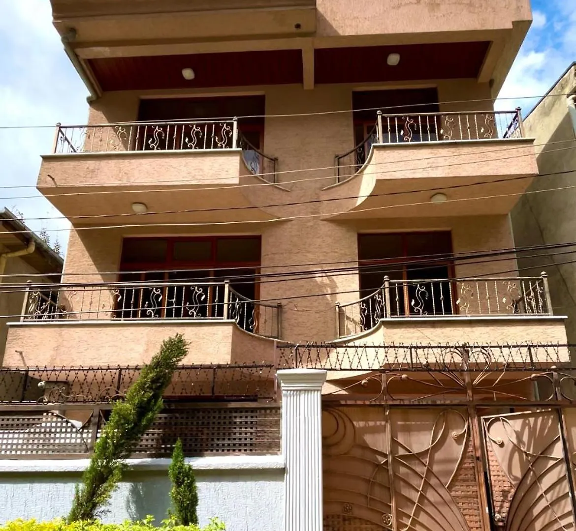 Villa Deluxe Specious Home In A Beautiful Neighborhood Addis Ababa